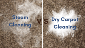 Steam Cleaning, Dry Cleaning, and More