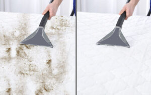 Dust Mite Cleaning Services