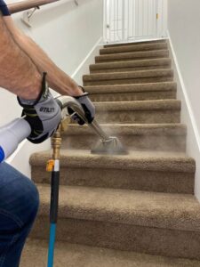 Residential Carpet Cleaning