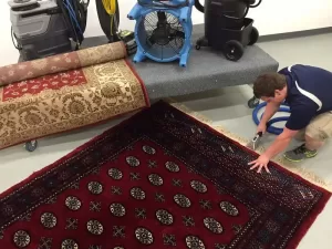 Carpet Cleaning Services