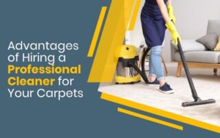 Discover the Benefits of Professional Carpet Cleaning