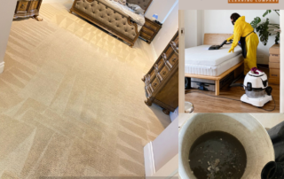 Professional Carpet Cleaning service by G.S Carpet Solutions