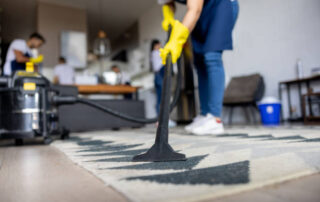 Professional Carpet Cleaning